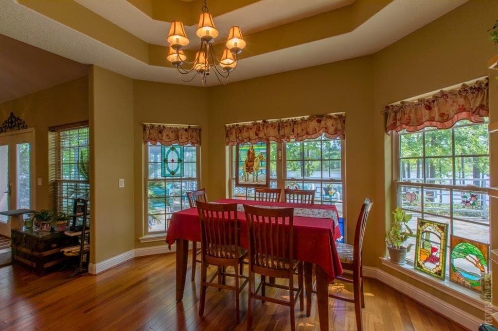 Dining room with tray ceiling and hardwood